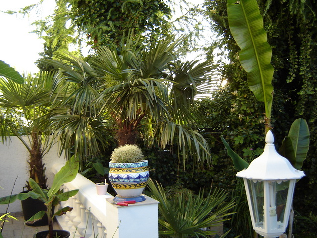 Image hosted by Photobucket.com