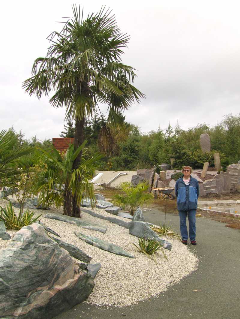 Image Hosted by ImageShack.us