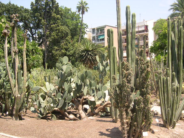 Image hosted by Photobucket.com