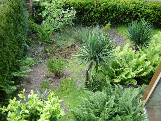 Image hosted by Photobucket.com