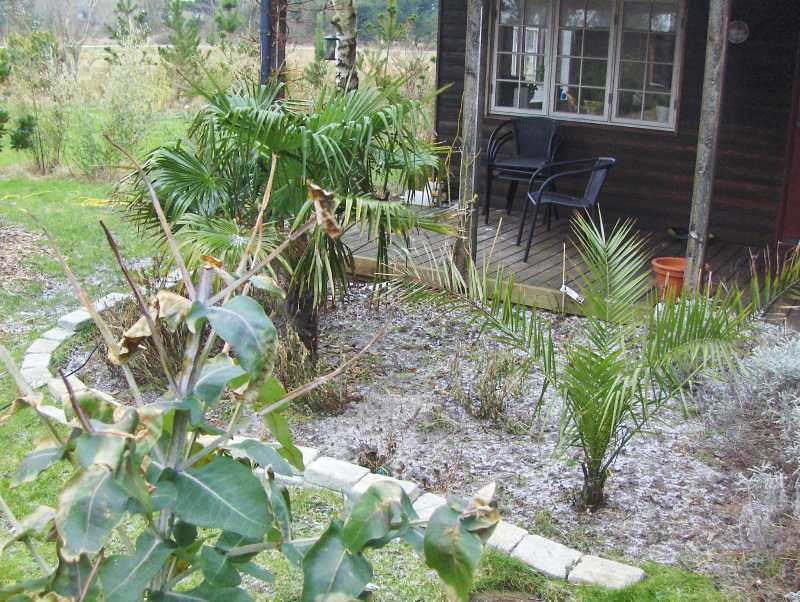 Image Hosted by ImageShack.us