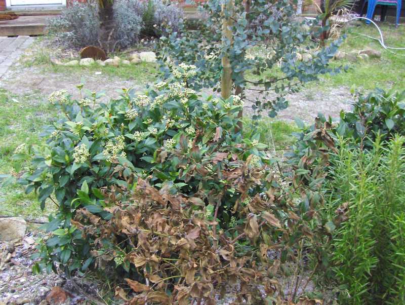 Image Hosted by ImageShack.us