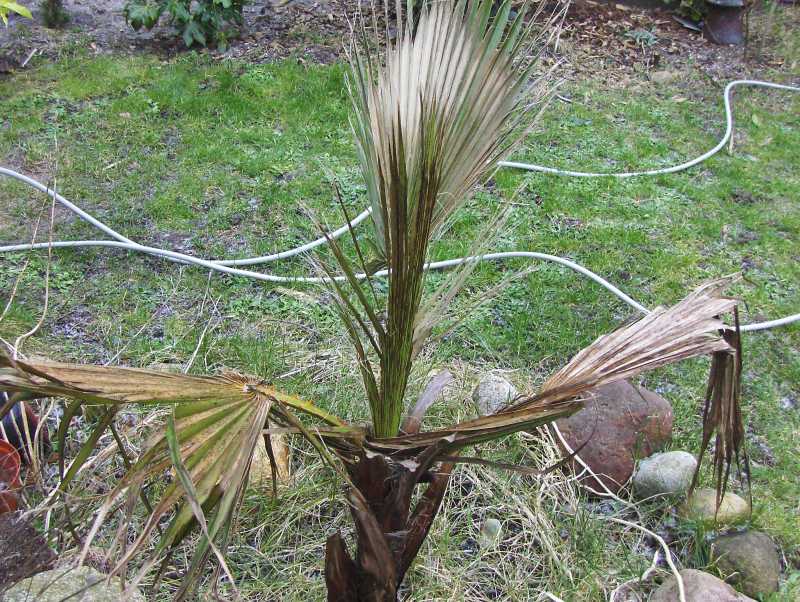 Image Hosted by ImageShack.us