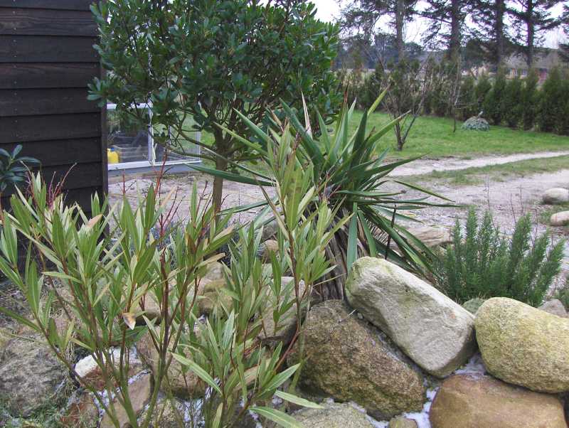 Image Hosted by ImageShack.us