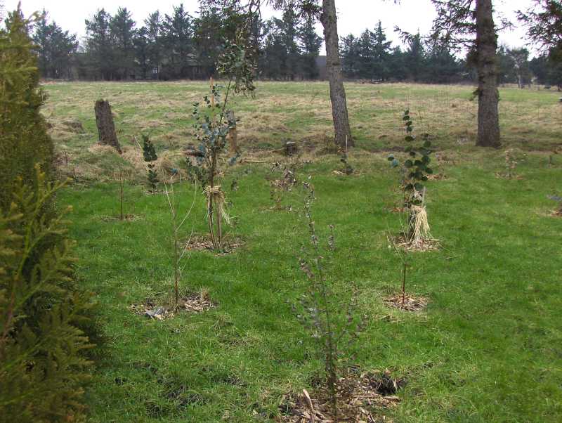 Image Hosted by ImageShack.us