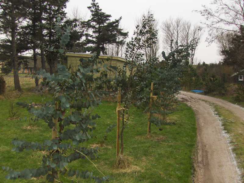 Image Hosted by ImageShack.us