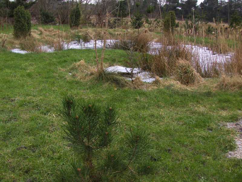 Image Hosted by ImageShack.us