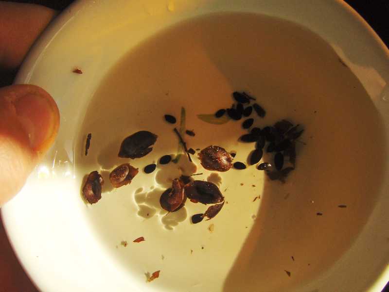 Image Hosted by ImageShack.us