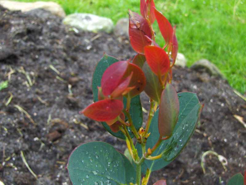 Image Hosted by ImageShack.us