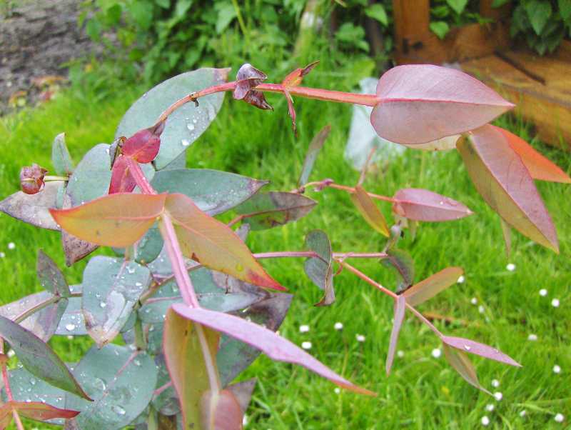 Image Hosted by ImageShack.us