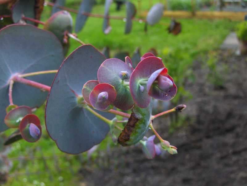 Image Hosted by ImageShack.us