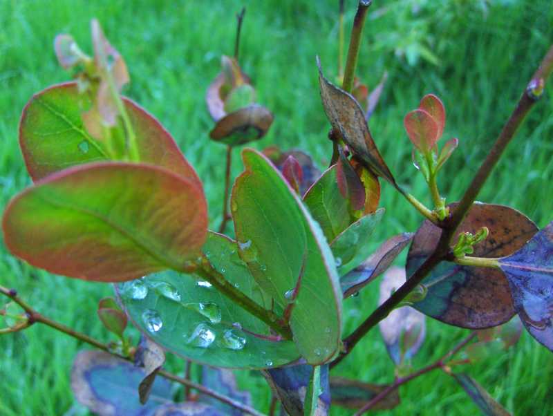 Image Hosted by ImageShack.us