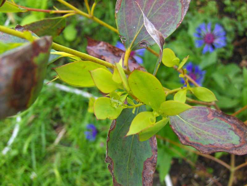 Image Hosted by ImageShack.us