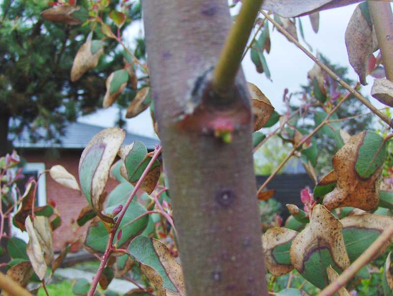 Image Hosted by ImageShack.us