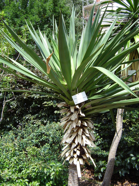 Image hosted by Photobucket.com