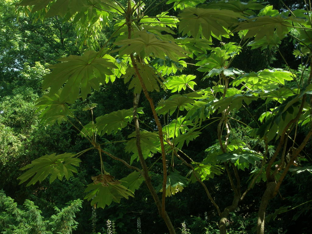 Image Hosted by ImageShack.us