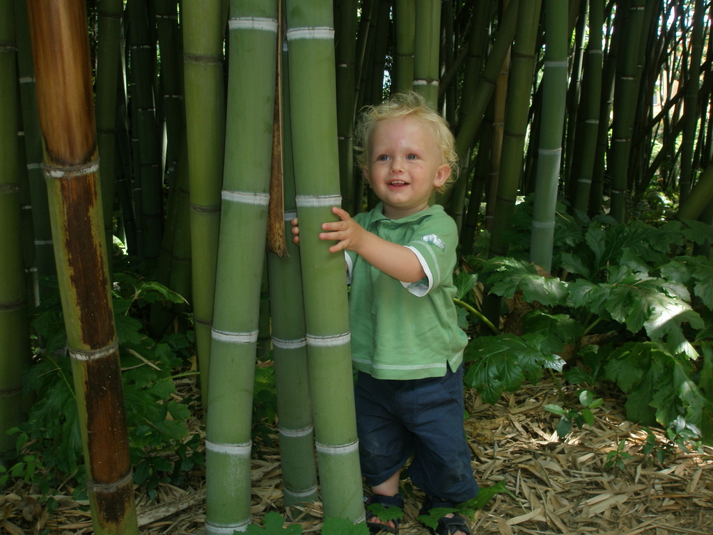 Image Hosted by ImageShack.us