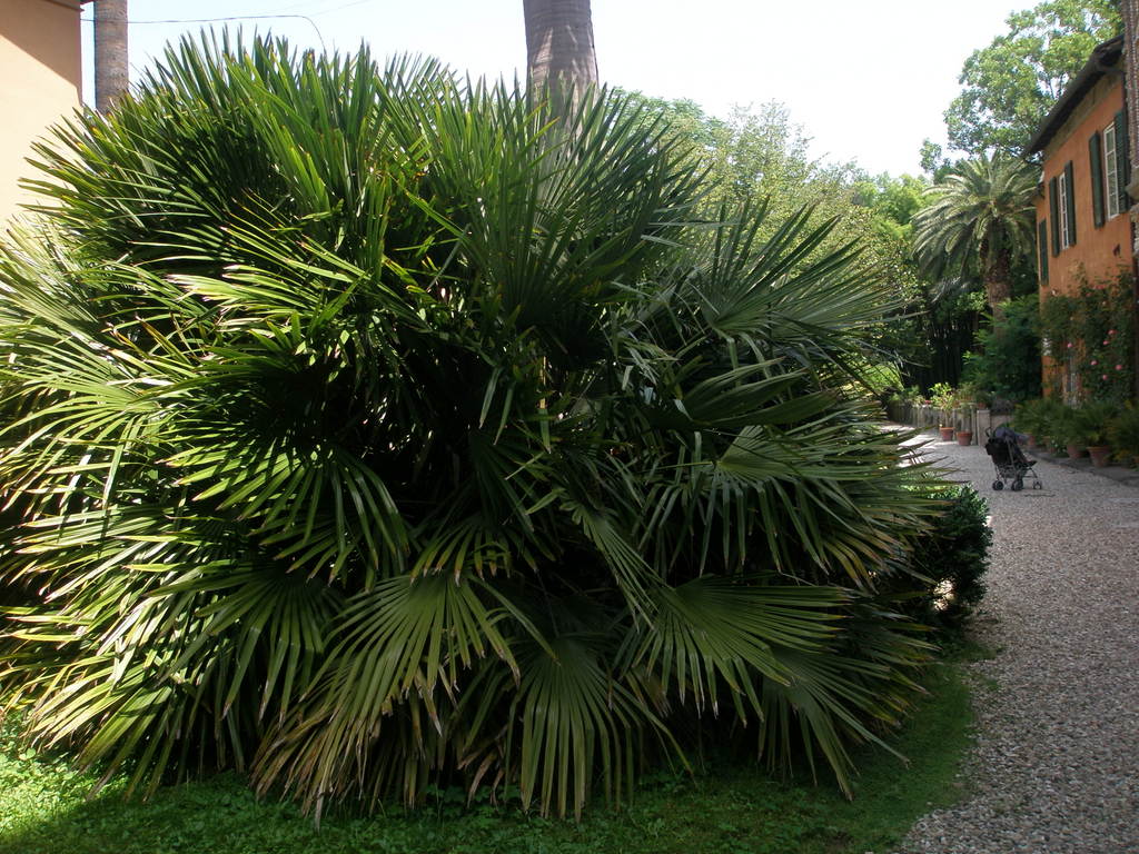 Image Hosted by ImageShack.us