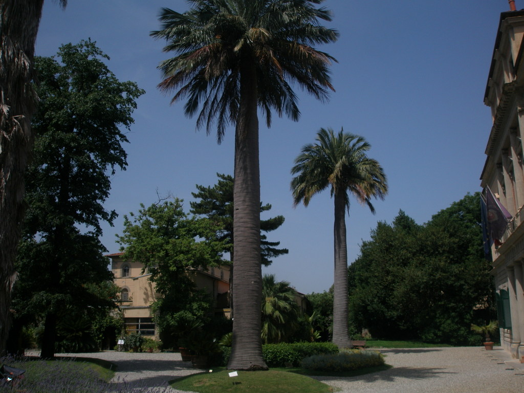 Image Hosted by ImageShack.us