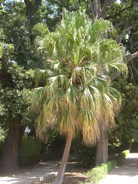 Image hosted by Photobucket.com