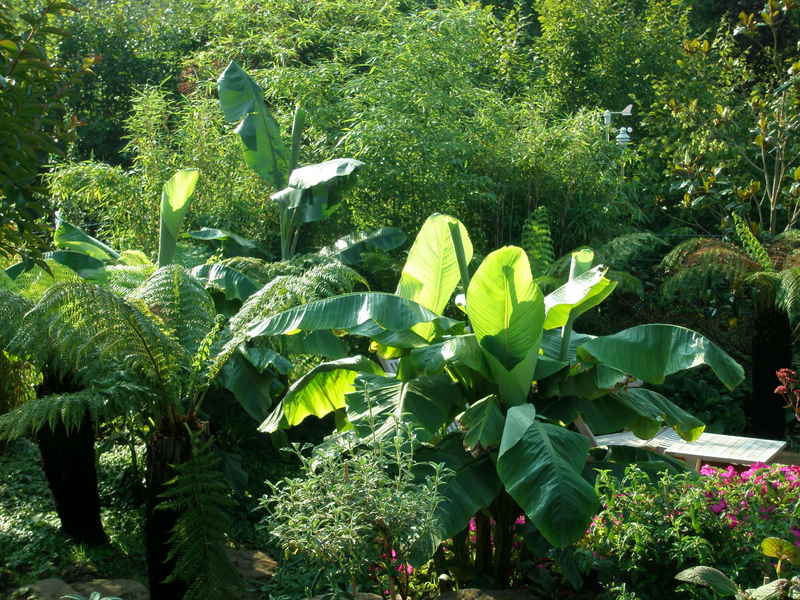 Image Hosted by ImageShack.us