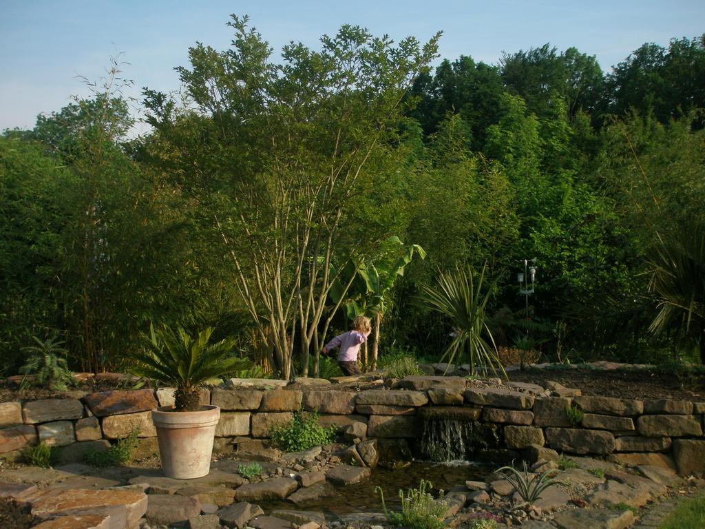 Image Hosted by ImageShack.us