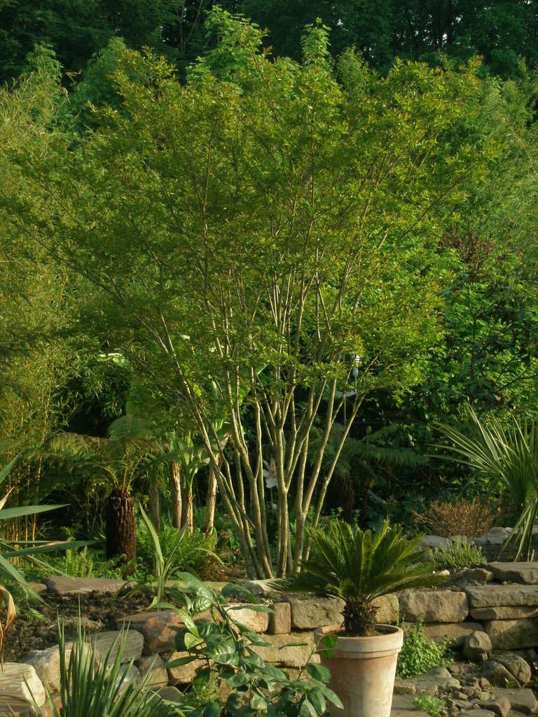 Image Hosted by ImageShack.us