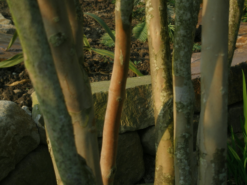 Image Hosted by ImageShack.us