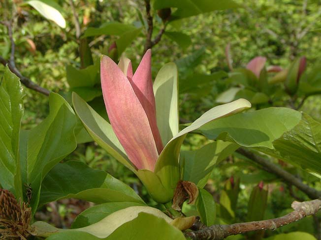 Image hosting by Photobucket