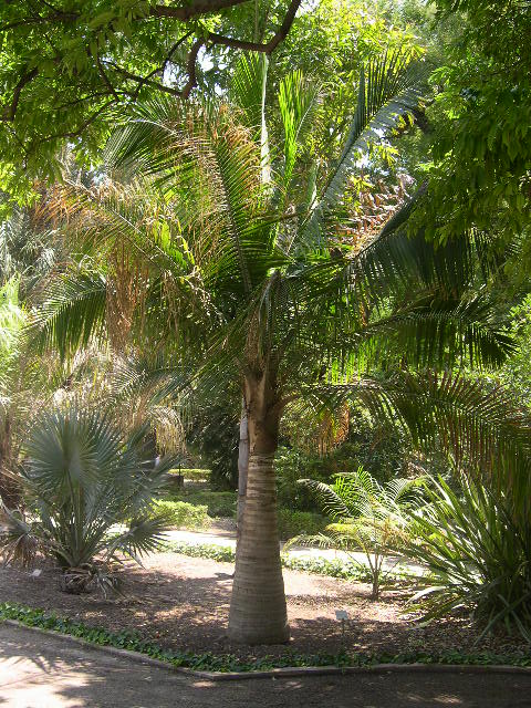 Image hosted by Photobucket.com