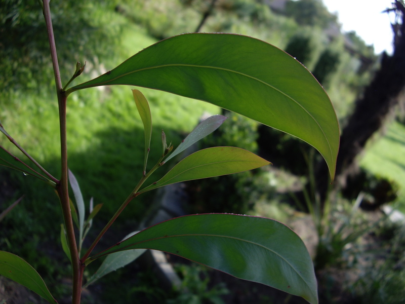 Image Hosted by ImageShack.us