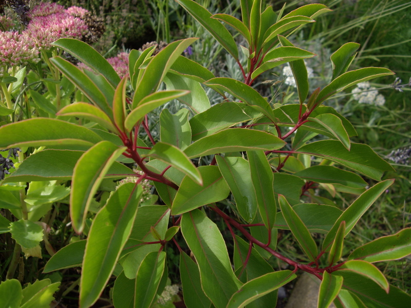 Image Hosted by ImageShack.us