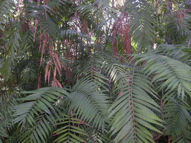 Image hosted by Photobucket.com