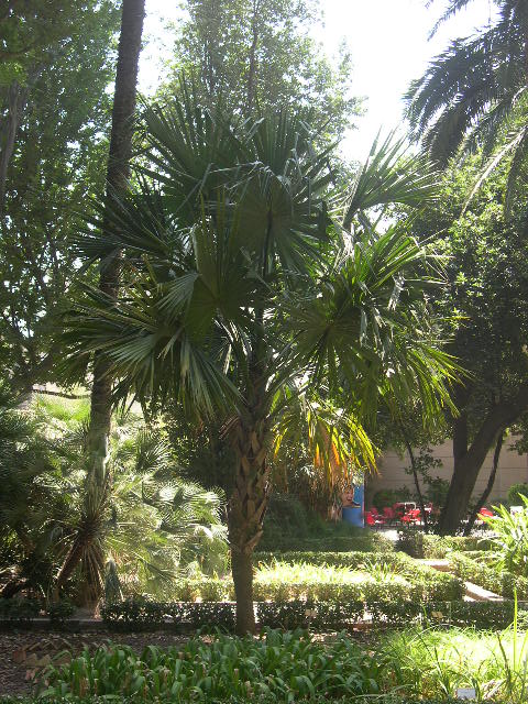 Image hosted by Photobucket.com