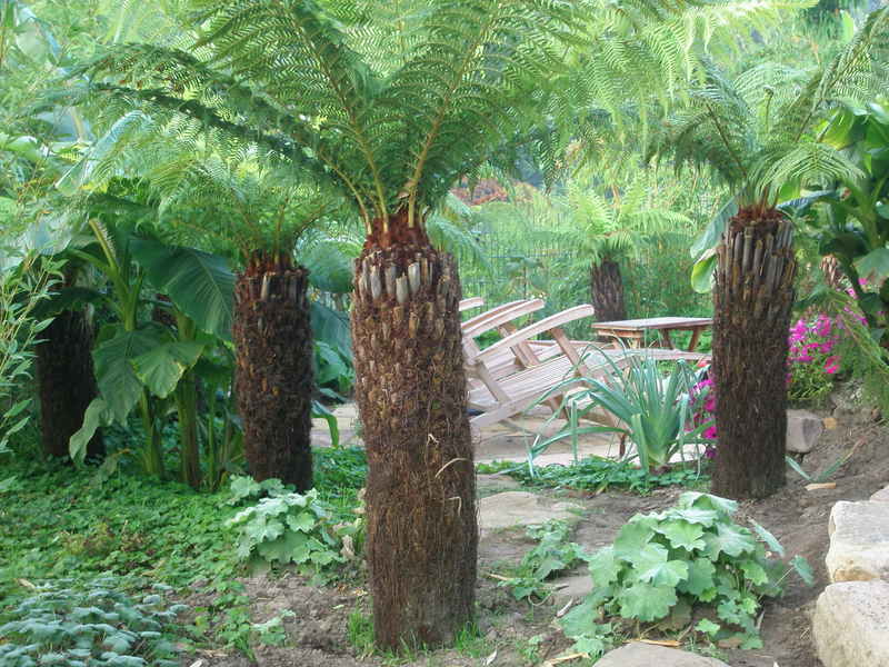 Image Hosted by ImageShack.us