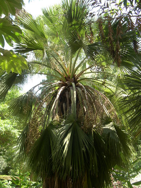 Image hosted by Photobucket.com