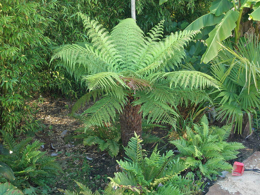 Image Hosted by ImageShack.us