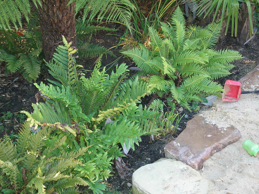 Image Hosted by ImageShack.us