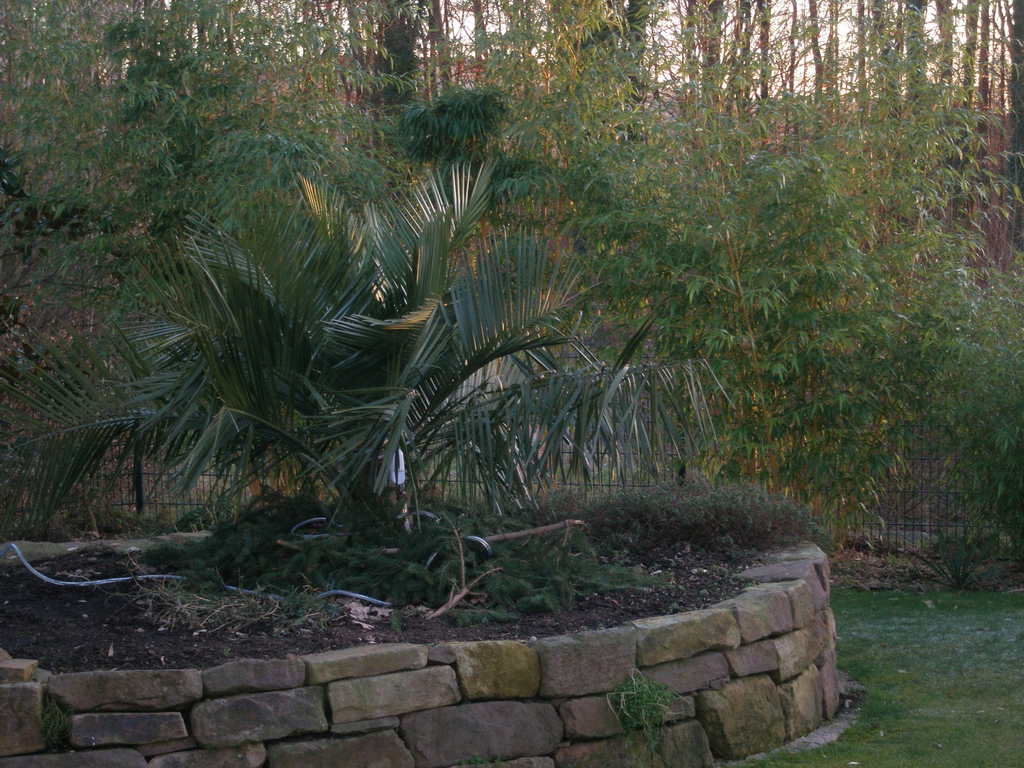 Image Hosted by ImageShack.us