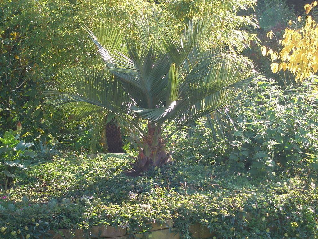 Image Hosted by ImageShack.us