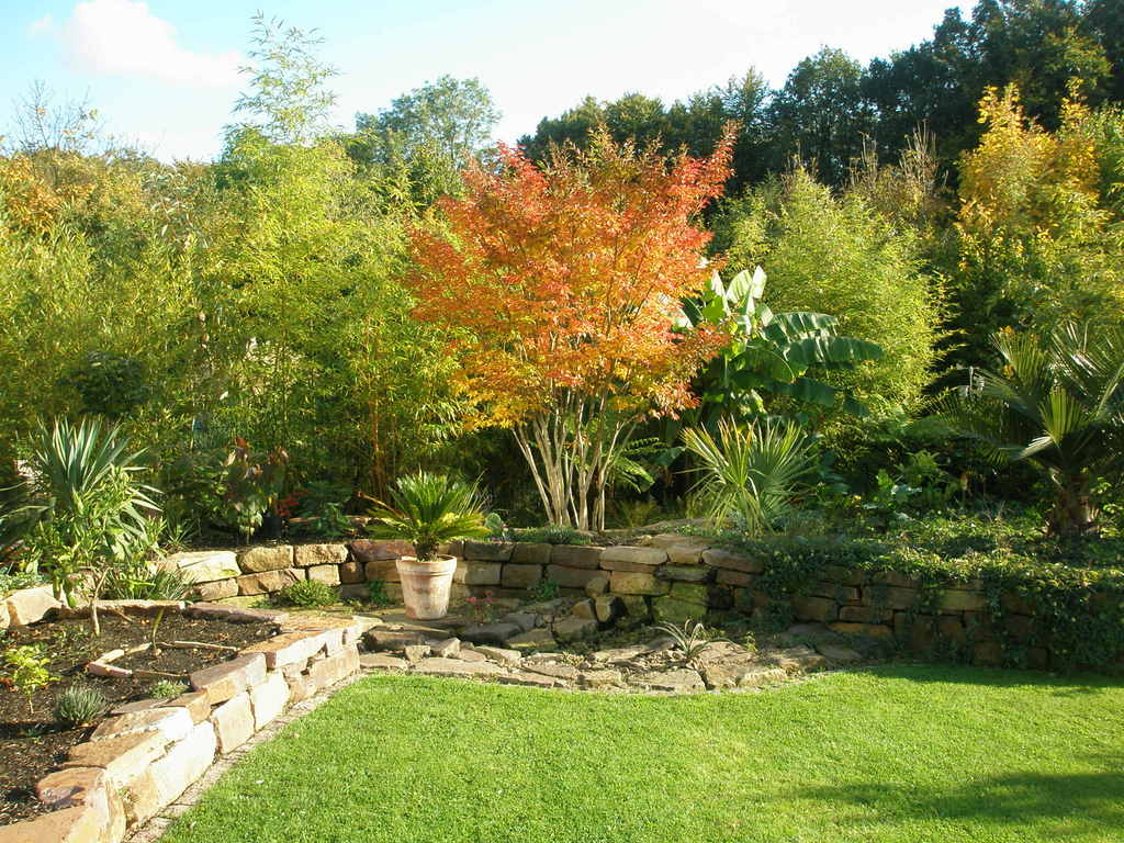 Image Hosted by ImageShack.us