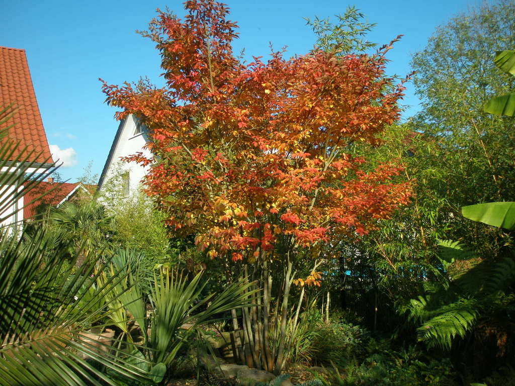 Image Hosted by ImageShack.us