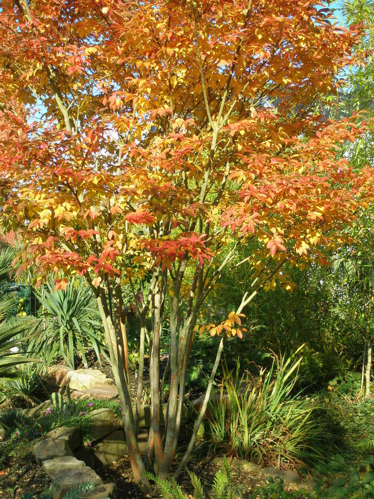 Image Hosted by ImageShack.us