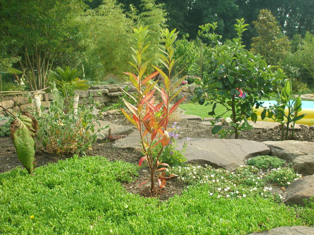 Image Hosted by ImageShack.us