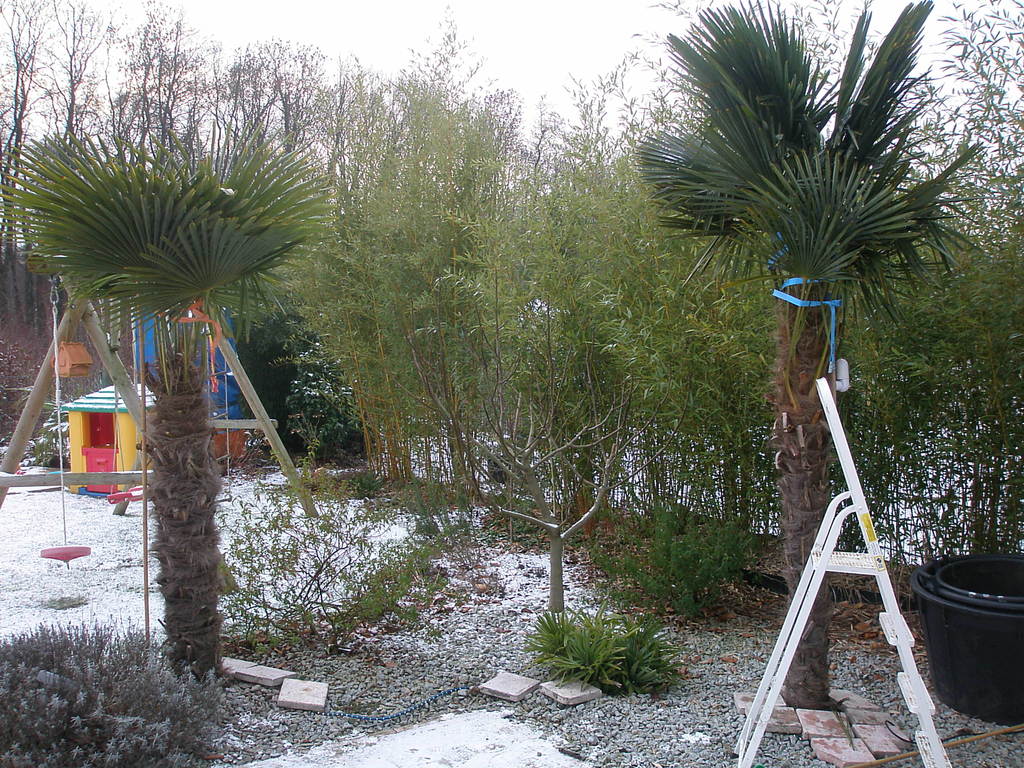 Image Hosted by ImageShack.us