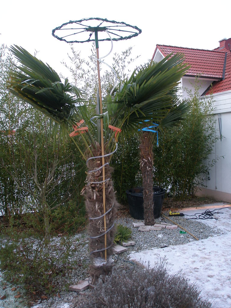 Image Hosted by ImageShack.us