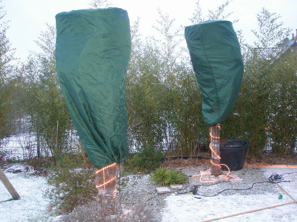 Image Hosted by ImageShack.us