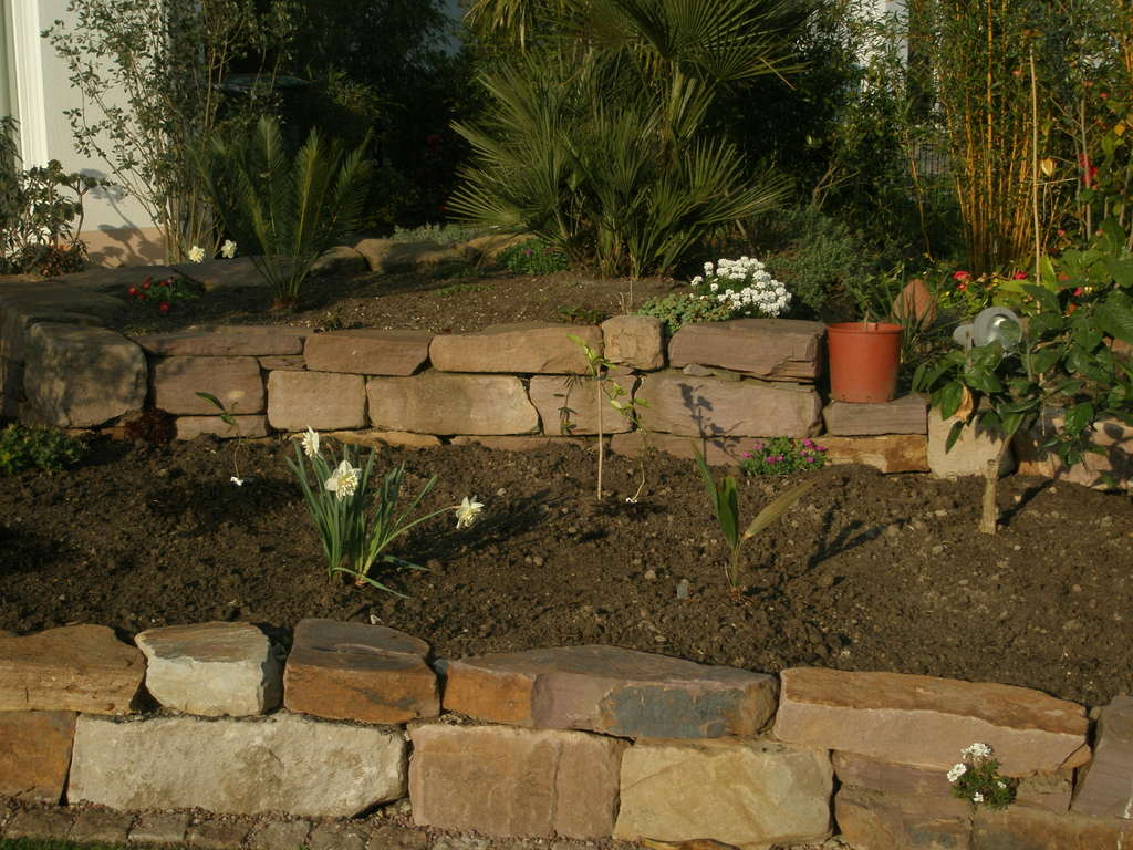 Image Hosted by ImageShack.us