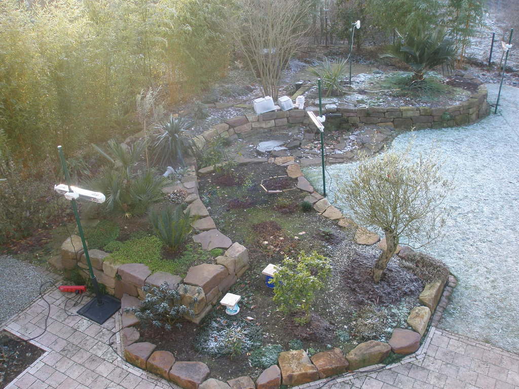 Image Hosted by ImageShack.us