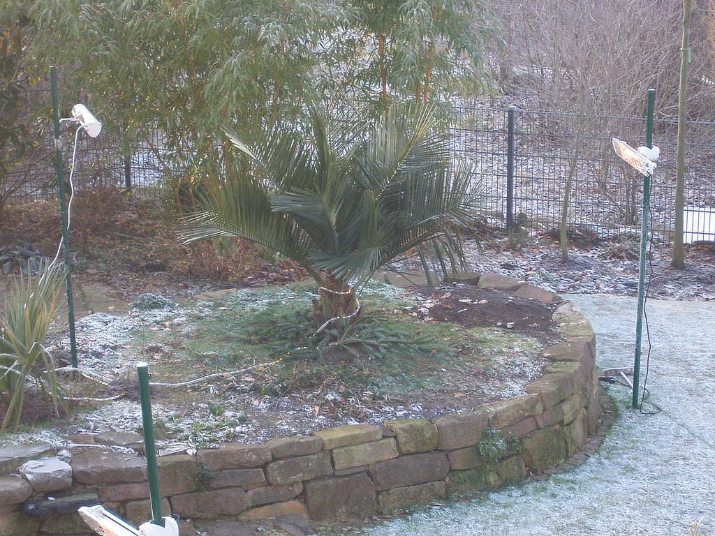 Image Hosted by ImageShack.us